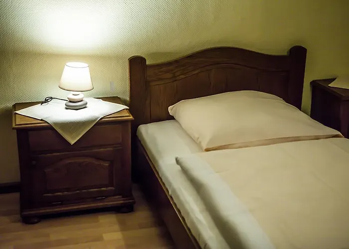 Hotel Hessischer Hof Nauheim